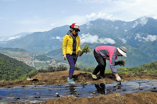 镌刻在雪域高原的忠诚——记12位第七批援藏优秀干部